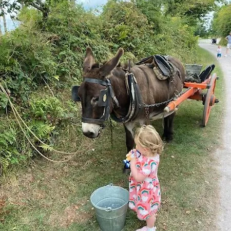 Mountain View House *