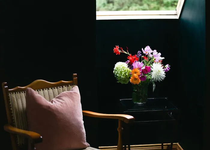 Mountain View House 킬라니