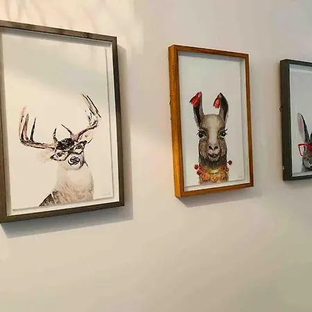 Mountain View House كيلارني